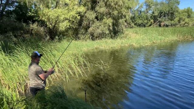 Отдых на берегу Усы. Золотые пески Берёзовки. смотреть онлайн