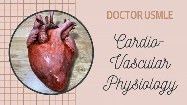 Physiology 07 - CardioVascular смотреть онлайн