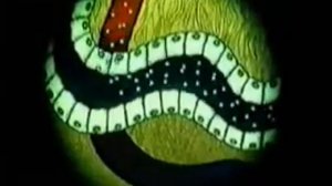 Гуморальная регуляция мочеобразования