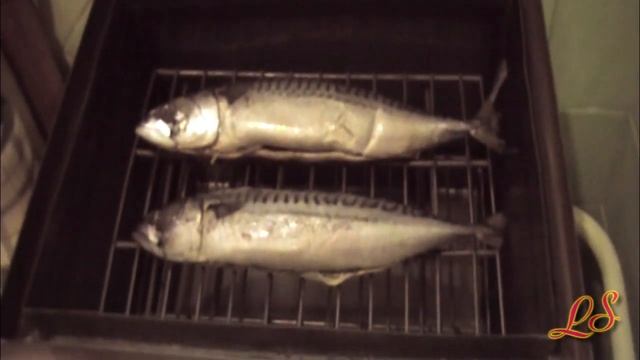 Как закоптить скумбрию в мини-коптильне. смотреть онлайн