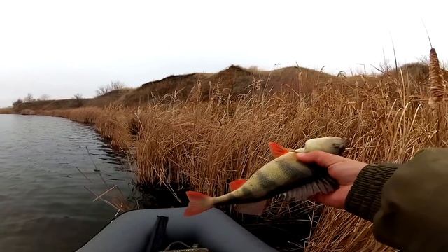 Рыбалка в коряжнике, спиннинг холодной осенью смотреть онлайн