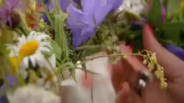 Бельгийское ТВ о Купале 2011 смотреть онлайн