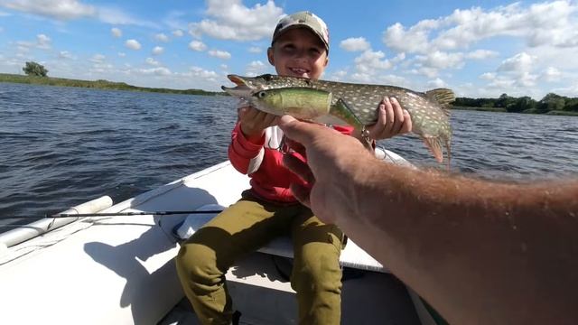 Щука на воблер Rapala X-Rap Jointed Shad 13 см смотреть онлайн