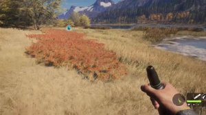 Симулятор охоты The Hunter: Call of the Wild Быстренько зарабатываем опыт и деньги.