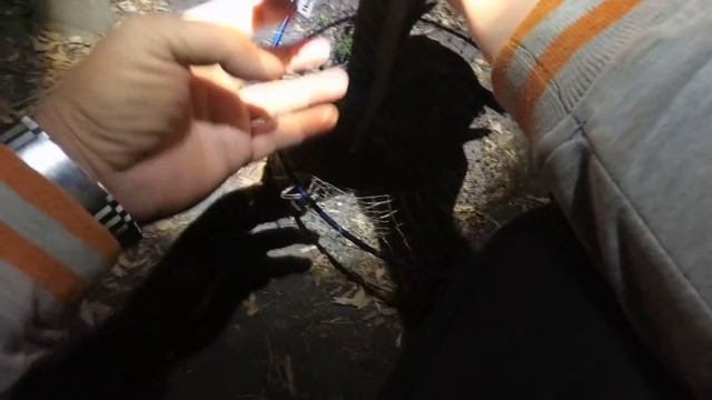 СЕКРЕТЫ ЛОВЛИ КАРПА В СЕНТЯБРЕ смотреть онлайн