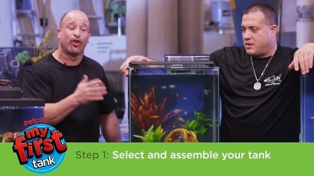 Petco and Animal Planet's Tanked Present: My First Tank - Setting Up Your Tank смотреть онлайн