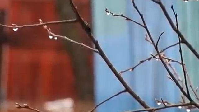 Из окрестностей Великого Устюга эвакуируют людей