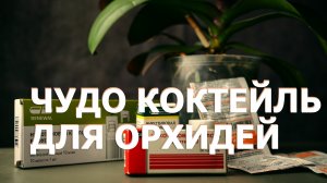 Чудо коктейль для орхидей, появятся корни, листок, цветонос.