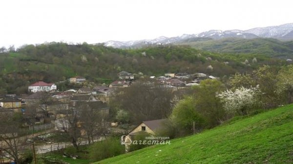 Муса Саламов "В даргинских горах"