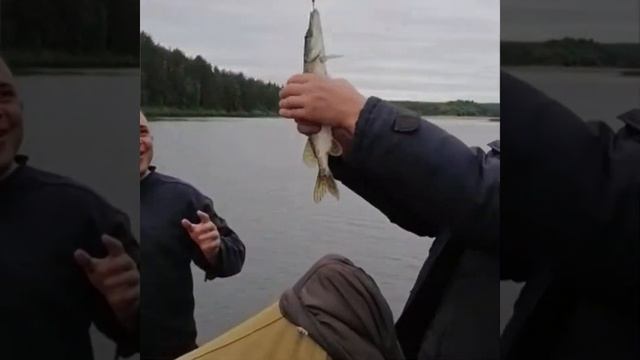 Сплав Луза-В.Устюг часть 3 смотреть онлайн