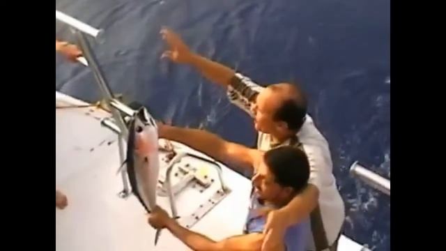 Рыбалка на Красном море. Fishing in the Red Sea смотреть онлайн