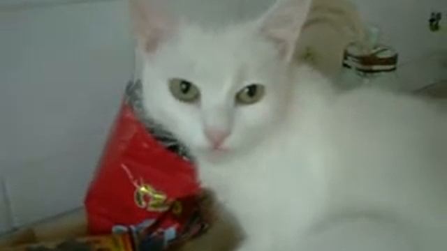 Спалили Асю смотреть онлайн