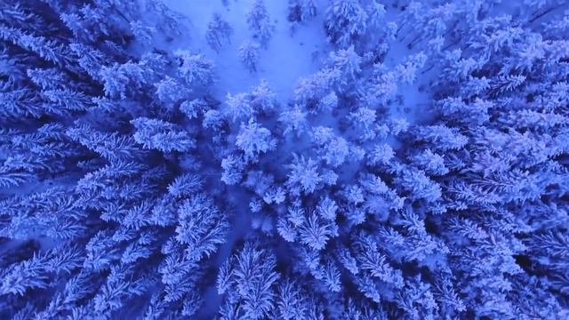 __ ГЕНЕРАЦИЯ МЫСЛИ _ СИЛА СЛОВА __ смотреть онлайн