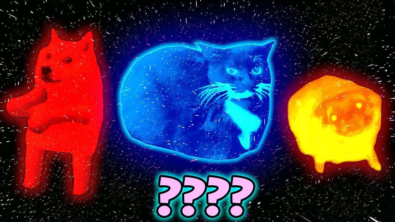 Maxwell The Cat and Pug and Doge Dancing Sound Variations In 45 Seconds смотреть онлайн