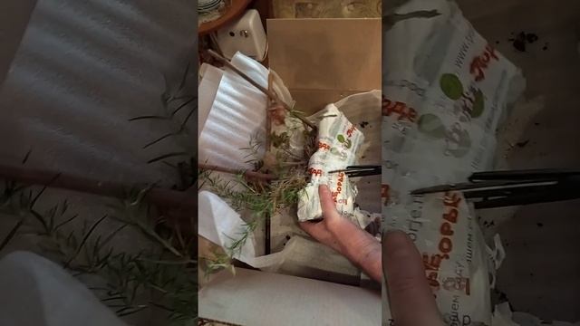 Первая посылка сезона 2023.Посылка из Подворья. смотреть онлайн