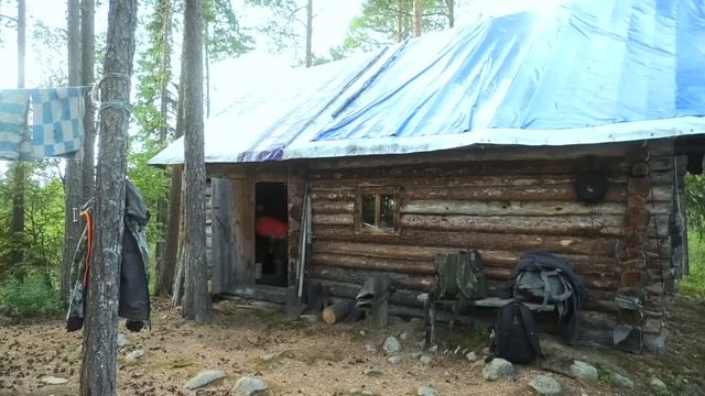 Ночь в Тайге, встретили Медведя, Лесная Изба, Рыбалка... смотреть онлайн