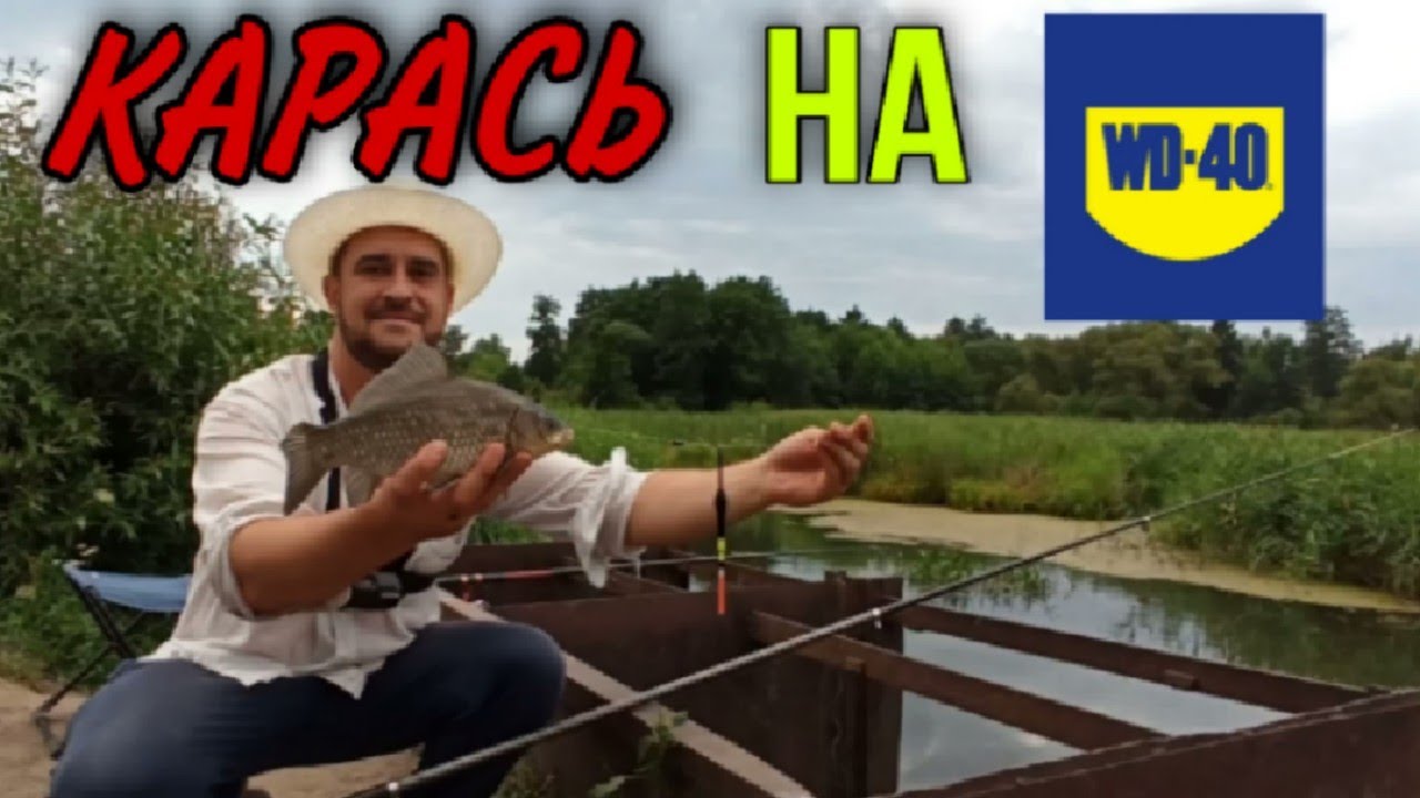 ЛОВЛЯ КАРАСЯ НА WD-40. КТО БЫ МОГ ПОДУМАТЬ смотреть онлайн