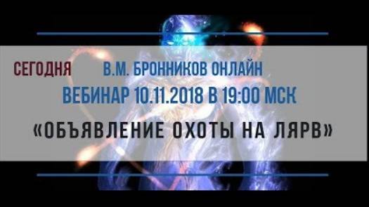 10.11.2018 Вебинар «Объявление охоты на лярв» смотреть онлайн