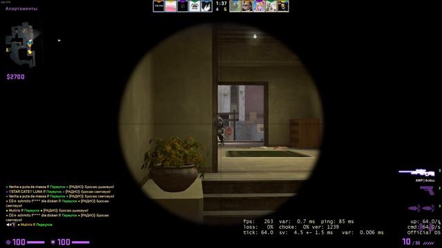 ДЕВКА В CS:GO| РЕАКЦИЯ ПАРНЕЙ💜 смотреть онлайн