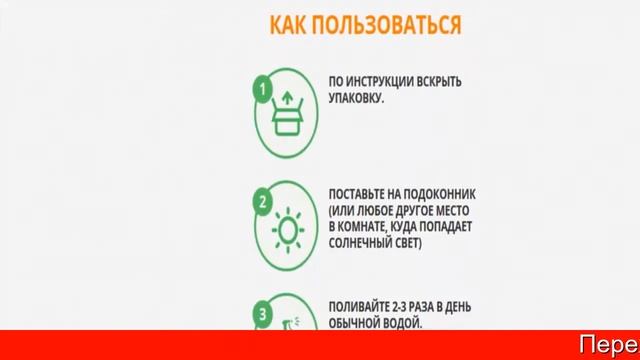 Домашняя Мини Ферма смотреть онлайн