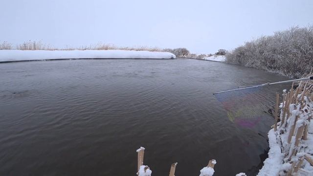 ОГРОМНЫЙ КАРАСЬ ЗИМОЙ НА ЗАКИДУШКИ В - 15?️ смотреть онлайн