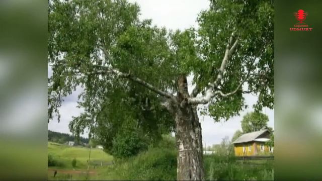 ♪ ТУЛЫС СЯСЬКАОС Геннадий Ганьков (КАРАОКЕ) смотреть онлайн