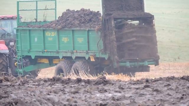 Машина для внесения твердых органических удобрений МТУ-20 смотреть онлайн