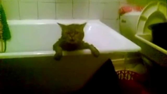 Восставший из ванной смотреть онлайн