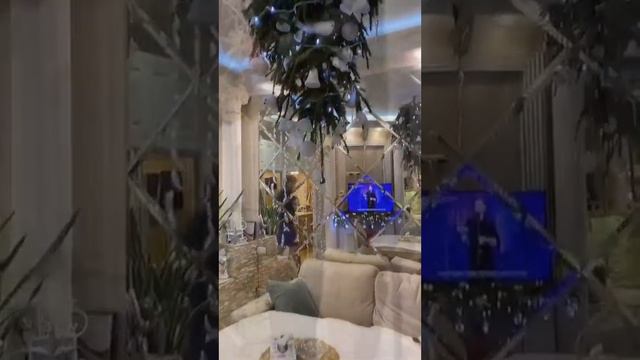 Такая статья за это существует по-моему - издевательство над домашними животными)Кошачий Новый Год смотреть онлайн