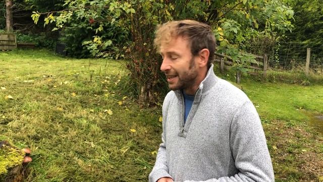 Identifying Plums and Custard. Tricholomopsis rutilans смотреть онлайн