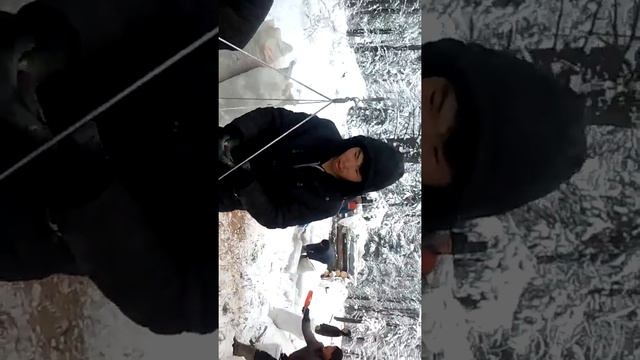 кедровый орех смотреть онлайн