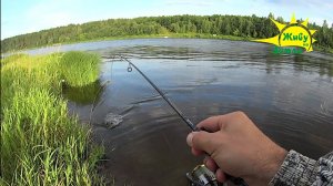 Оснастка для Безрыбных мест. Рыбалка на Отводной.