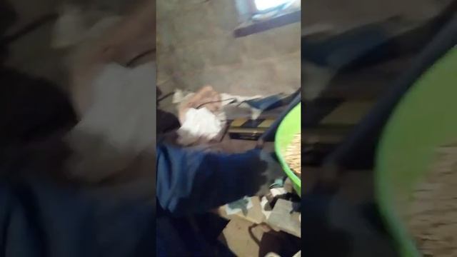 приобретение зерно дробилки forte- 2 смотреть онлайн