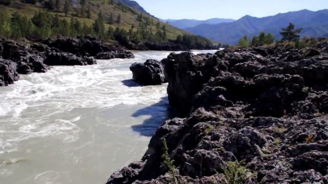 Берега. Царева Людмила Ивановна