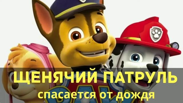Аудиосказки для детей - Щенячий патруль спасается от дождя смотреть онлайн