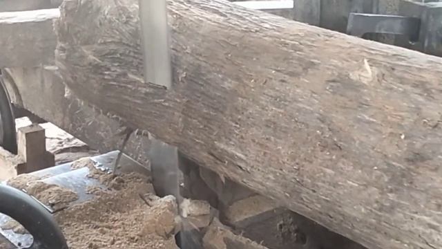 INDONESIAN TEAK WOOD, JAVA ISLAND VERY FAMOUS, BEST QUALITY, MOST EXPENSIVE PRICES IN THE WORLD смотреть онлайн