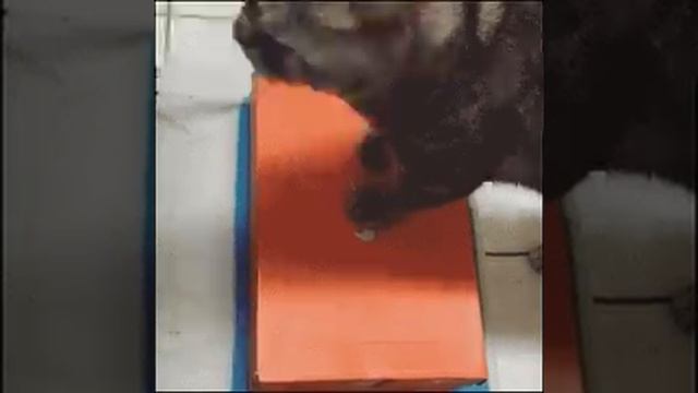 Меня не кому не найти смотреть онлайн