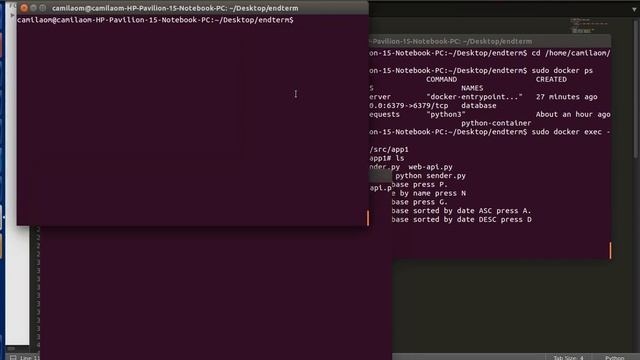 API + client app on docker demonstration смотреть онлайн