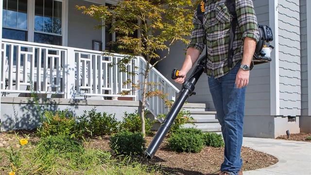 The 7 Best Backpack Blowers смотреть онлайн