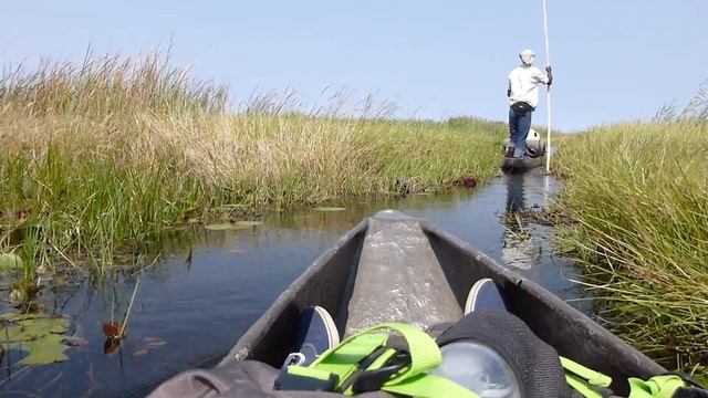 Mokoro on the Okavango Delta 2 смотреть онлайн