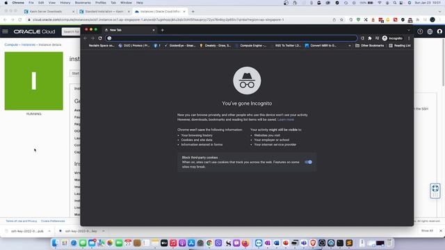 Setup KASM Container Streaming on Oracle Cloud and run KALI Linux in less than 20 Minutes смотреть онлайн
