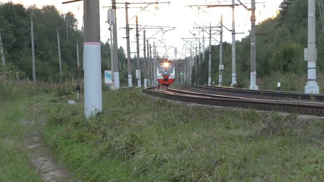 Электропоезд ЭД4М-0464 ЦППК перегон Петелино - Голицыно