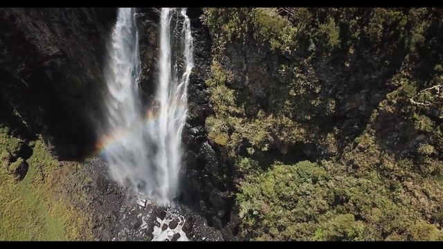 Kenya - Aberdare National Park смотреть онлайн