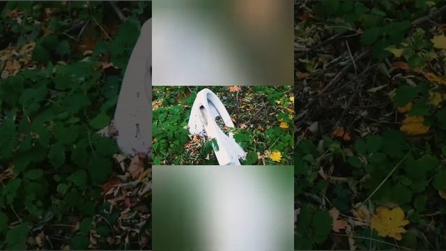 зимний опенок Донецк смотреть онлайн