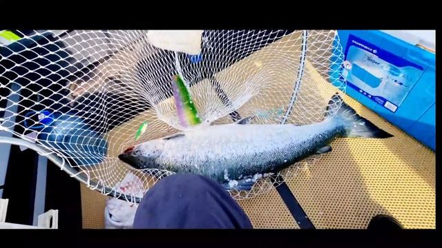 Удачная рыбалка на лосося в шестимильной зоне.