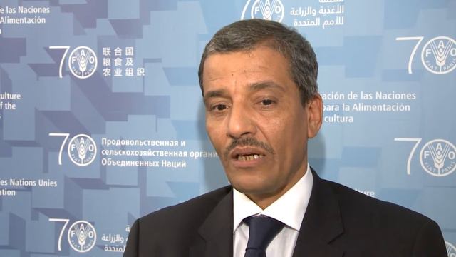 Remarks by the Minister for Economic Affairs and Development of Mauritania смотреть онлайн