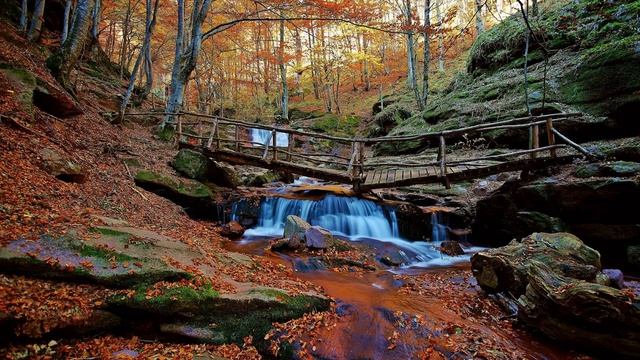 78. Достижение гармонии с самим собой