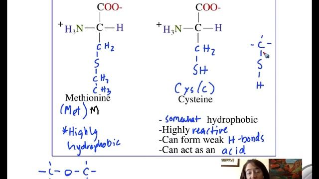 Amino Acids смотреть онлайн