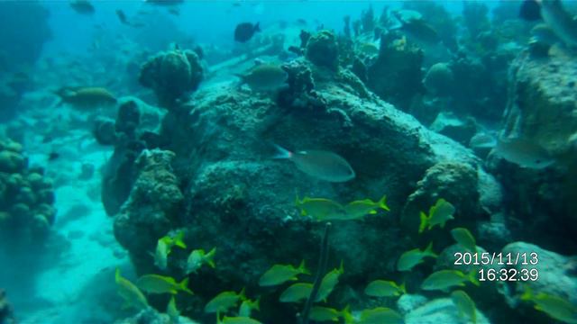 Дайвинг на Шарлота Амалия. Карибское море Круиз. 2015.4 смотреть онлайн