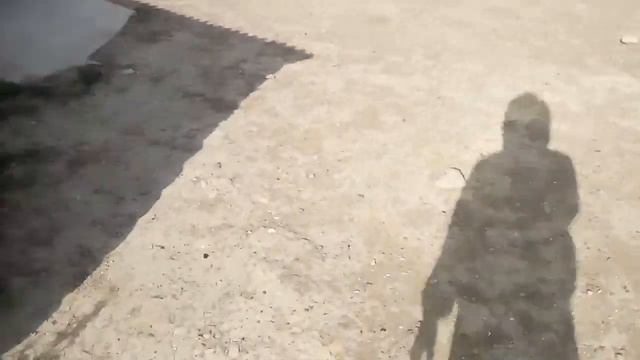 Экстремальные прятки Челенж, кого я найду смотреть онлайн
